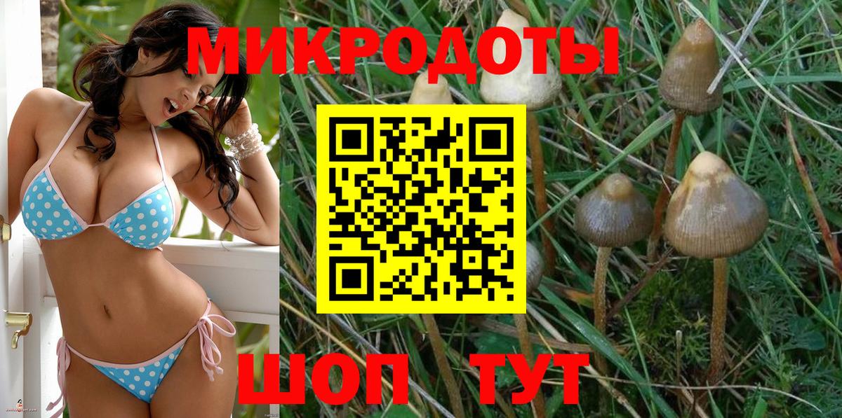 Галлюциногенные грибы Cubensis  Вход с VPN  Железноводск 