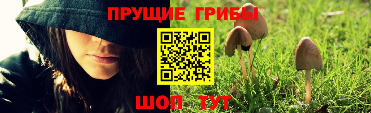 Псилоцибиновые грибы Cubensis Железноводск
